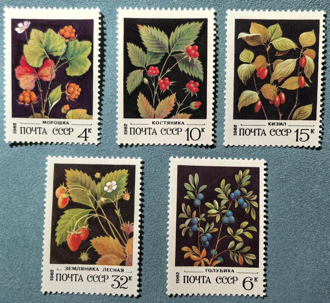 盛世勋华——号角文化勋章邮票专场拍卖第304期 苏联邮政1982年发行 5全新票 野生浆果