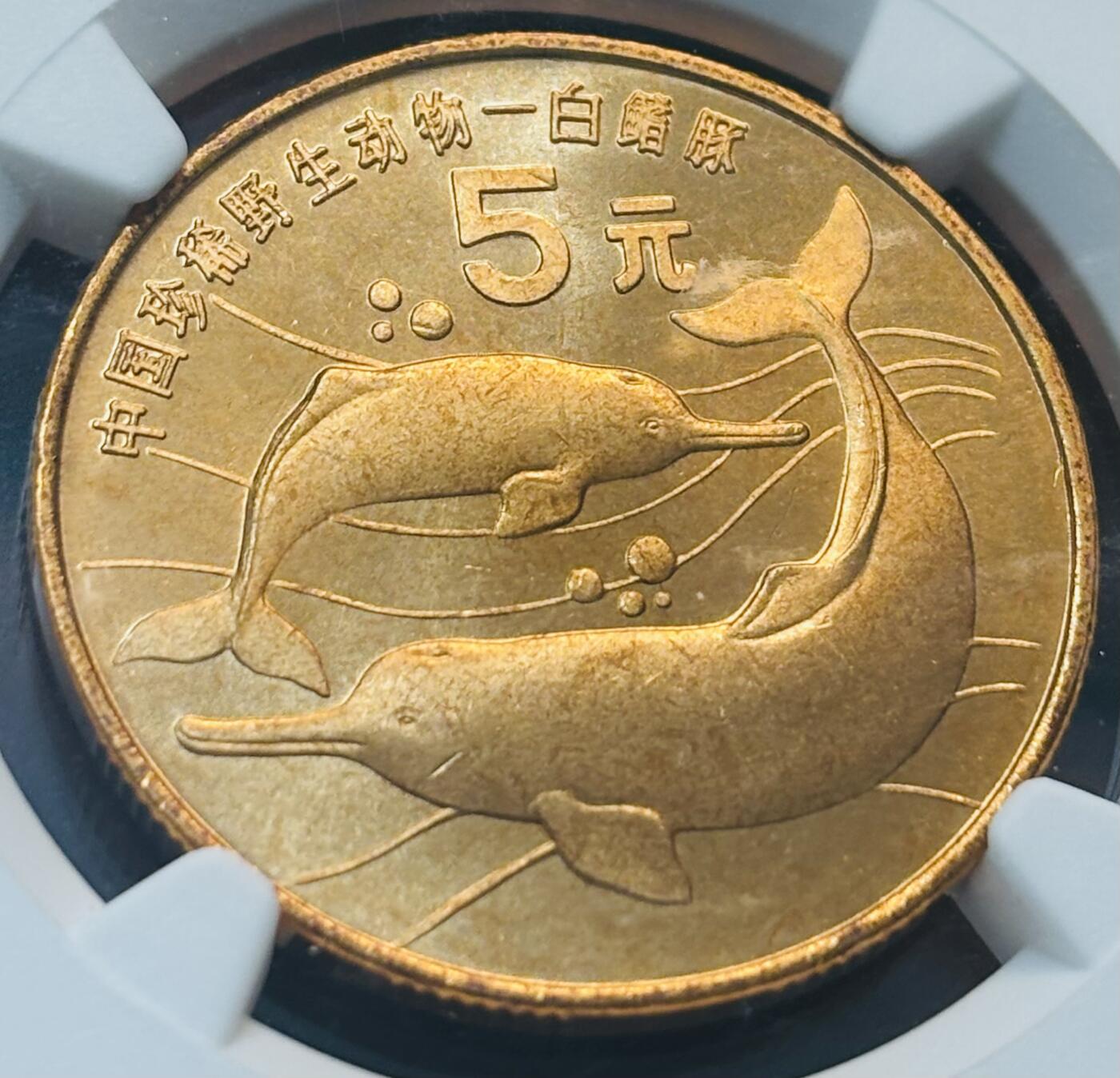 【金马踏春，泉马奔腾】2026 年新年贺岁场，（定于年初五接财神截拍）祝各位老板马到成功，马上有钱，愿岁岁平安喜乐顺遂