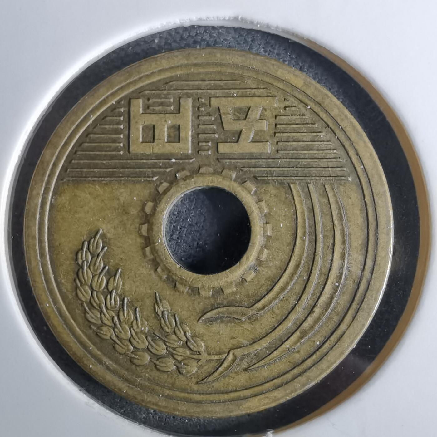 沼泽如烟--第984场 平成八年五元