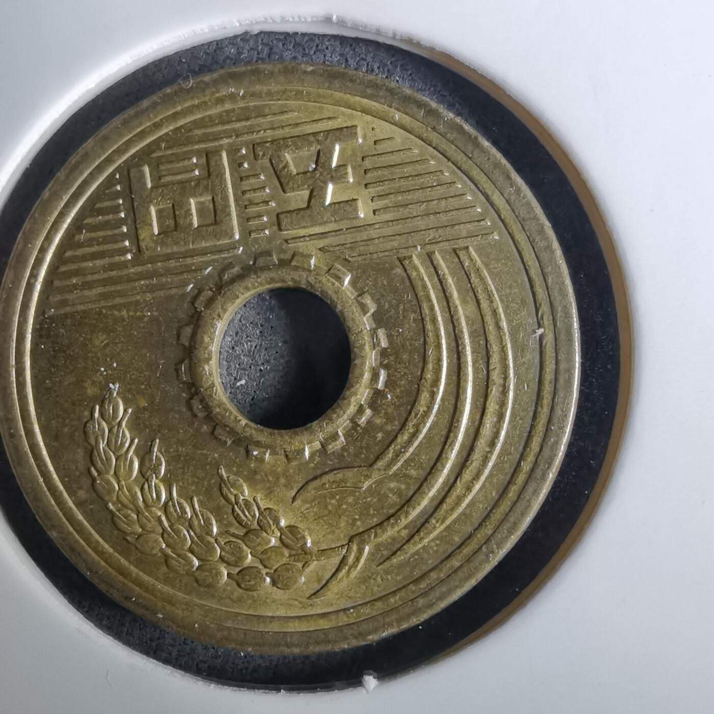 沼泽如烟--第984场 平成二年五元