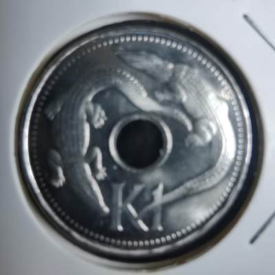 沼泽如烟--第984场 - 巴布亚新几内亚2009年1基纳