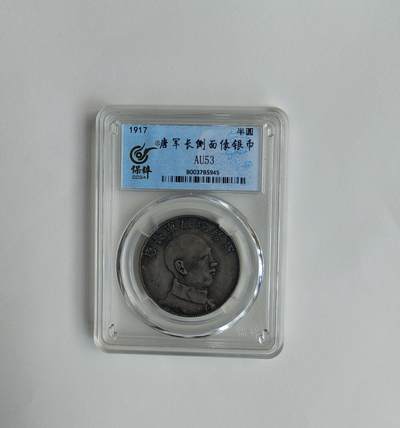 唐军长侧像银币 - 唐军长侧像银币