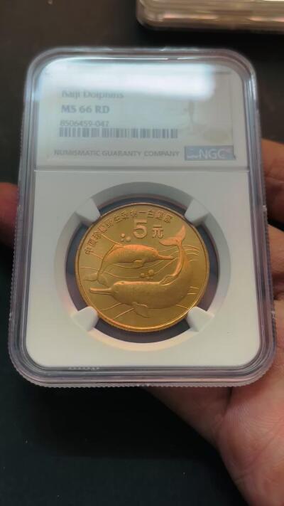 【金马踏春，泉马奔腾】2026 年新年贺岁场，（定于年初五接财神截拍）祝各位老板马到成功，马上有钱，愿岁岁平安喜乐顺遂