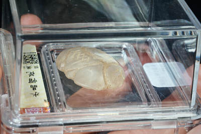 上海都达杂项专场四十七【全场包邮】  水晶帽花90-36