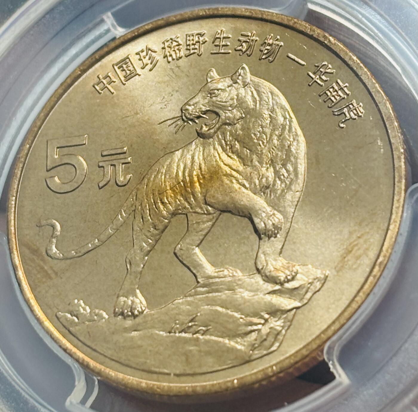 【金马踏春，泉马奔腾】2026 年新年贺岁场，（定于年初五接财神截拍）祝各位老板马到成功，马上有钱，愿岁岁平安喜乐顺遂 1996 年中国珍稀野生动物华南虎五元纪念币 PCGS 评级 MR67RD，卷拆高分品质
