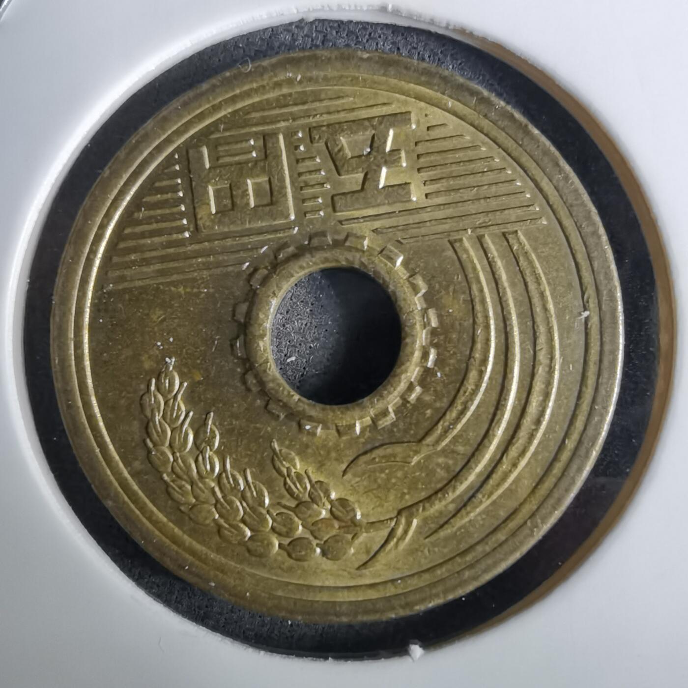 沼泽如烟--第984场 平成二年五元