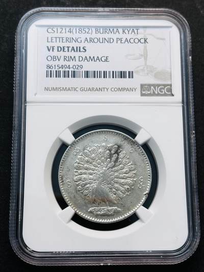 【金马踏春，泉马奔腾】2026 年新年贺岁场，（定于年初五接财神截拍）祝各位老板马到成功，马上有钱，愿岁岁平安喜乐顺遂 - 1852 年缅甸王朝孔雀银币 NGC 评级 VF D