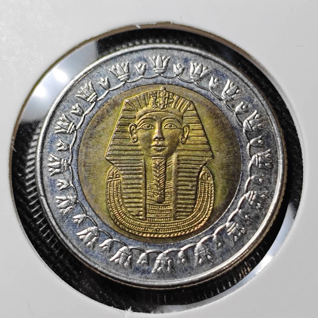 KK钱币收藏小铺  第392期  2月预留时间 周末发货  埃及1镑