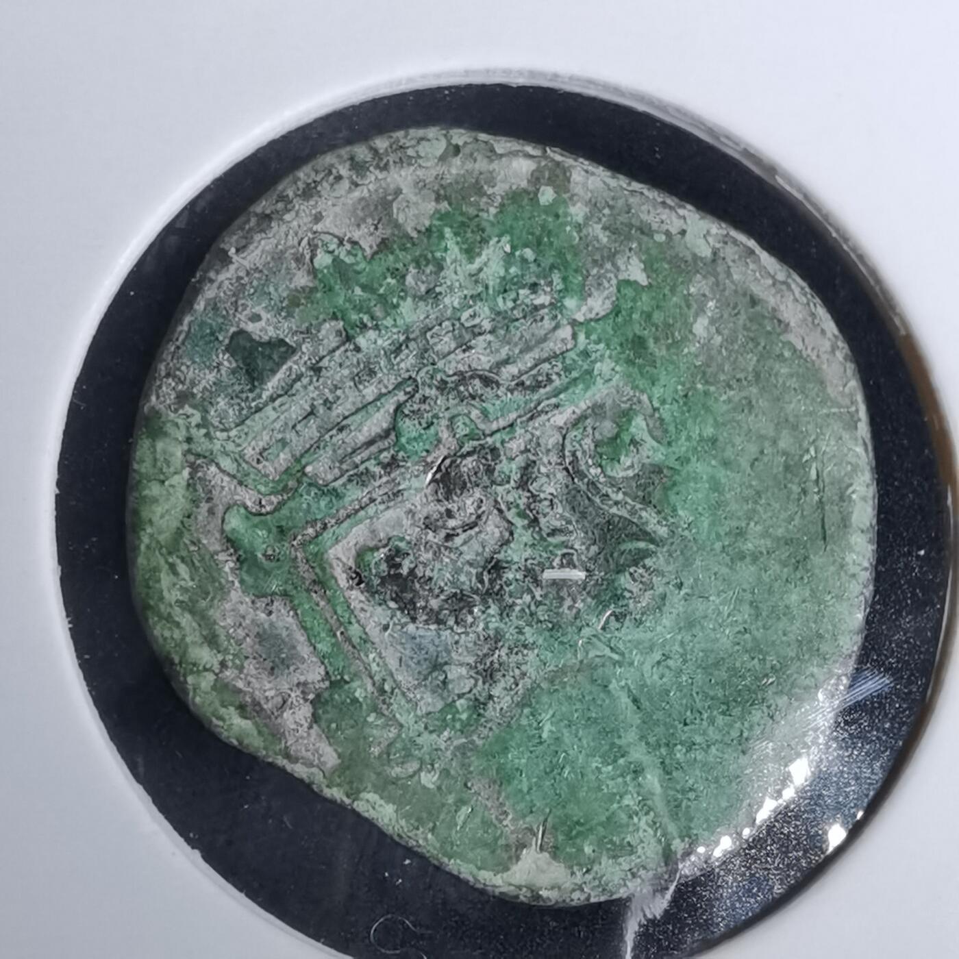 沼泽如烟--第984场