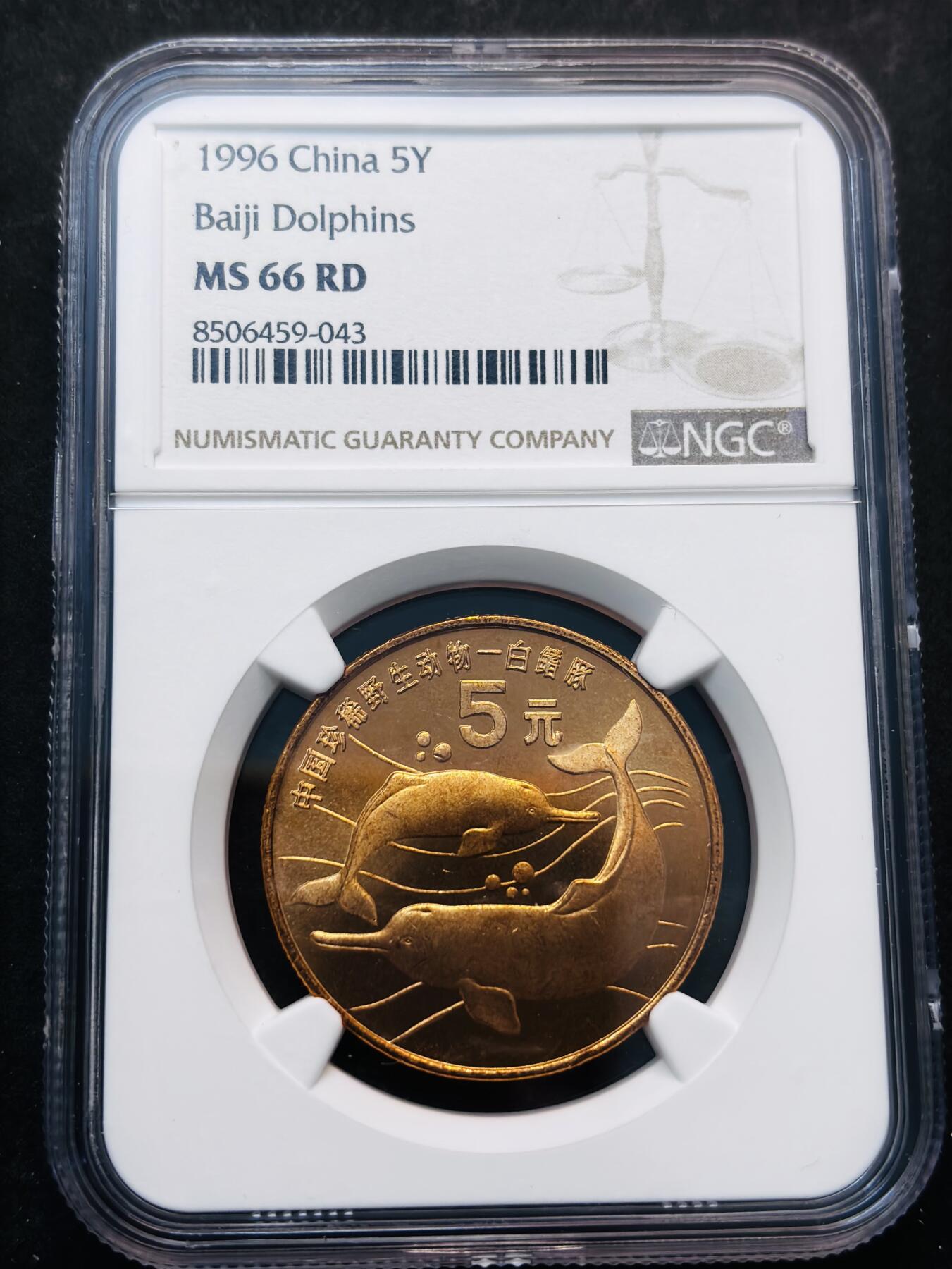 【金马踏春，泉马奔腾】2026 年新年贺岁场，（定于年初五接财神截拍）祝各位老板马到成功，马上有钱，愿岁岁平安喜乐顺遂