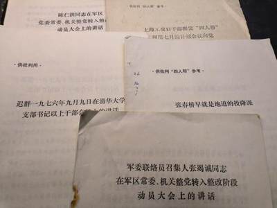 （店主清仓 大量自藏 制服徽章盛宴）罗岚⭐爱藏⭐甄选专拍第五场-分享拍场赚佣（实体经营） - 资料五份 讲话通告等