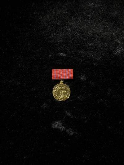 南斯拉夫小玩具专场 - 南斯拉夫建军10周年奖章mini章