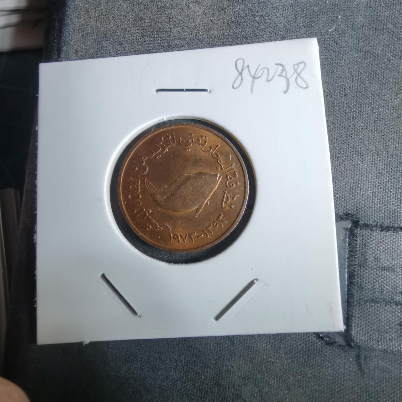 沼泽如烟--第984场 阿联酋