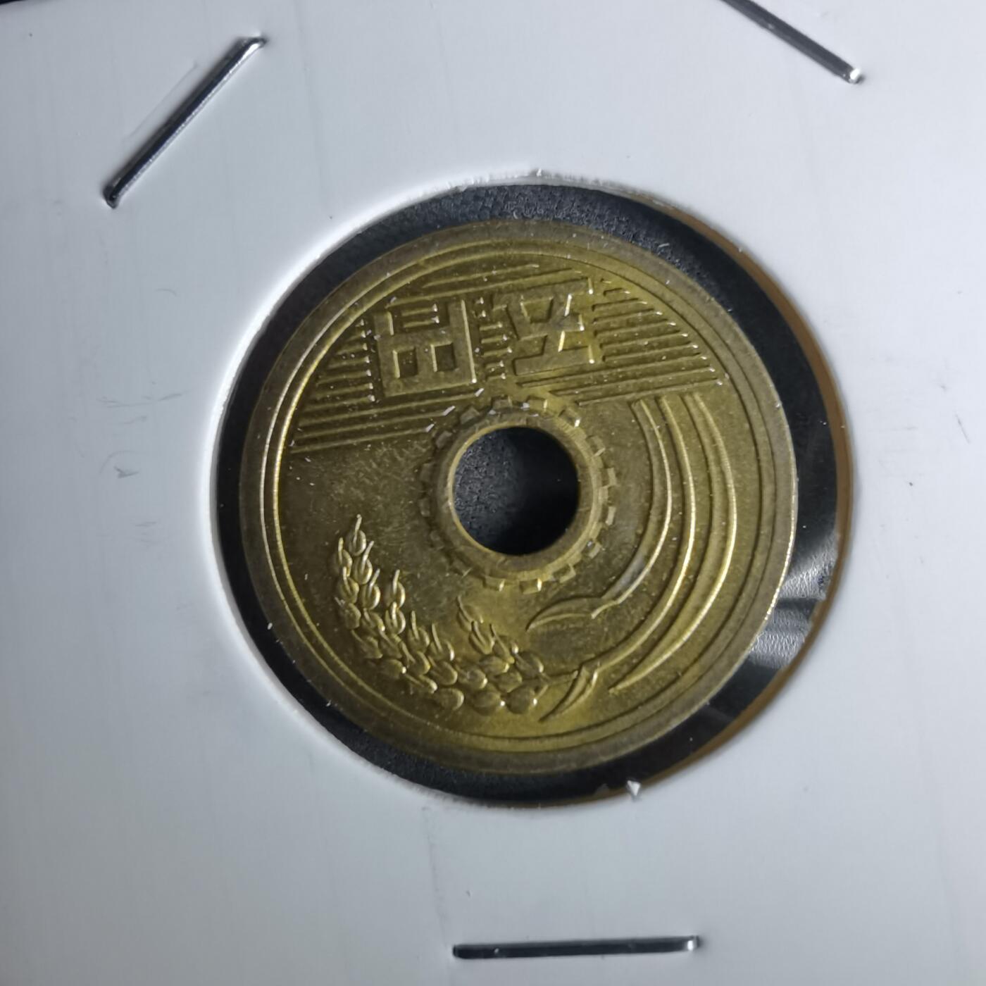 沼泽如烟--第984场 令和三年五元