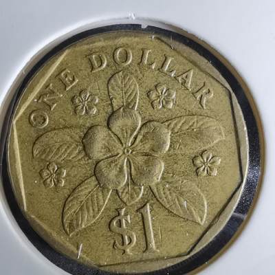 沼泽如烟--第984场 - 新加坡1989年一元