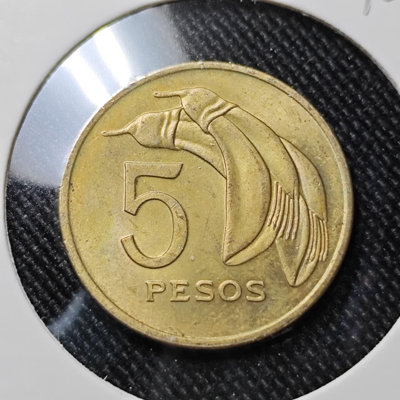 KK钱币收藏小铺  第392期  2月预留时间 周末发货  1969乌拉圭5比索铜币