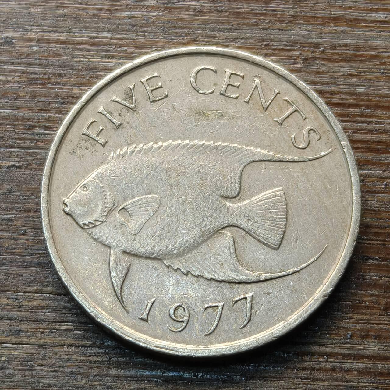 【本场4.12号发货】★第145★散币专场 不寄存，30包邮。不满30元，支付5元运费。《接受代拍 代送NGC评级》 74【无寄存】1977年 英属百慕大 5分 铜镍币 皇后天使鱼