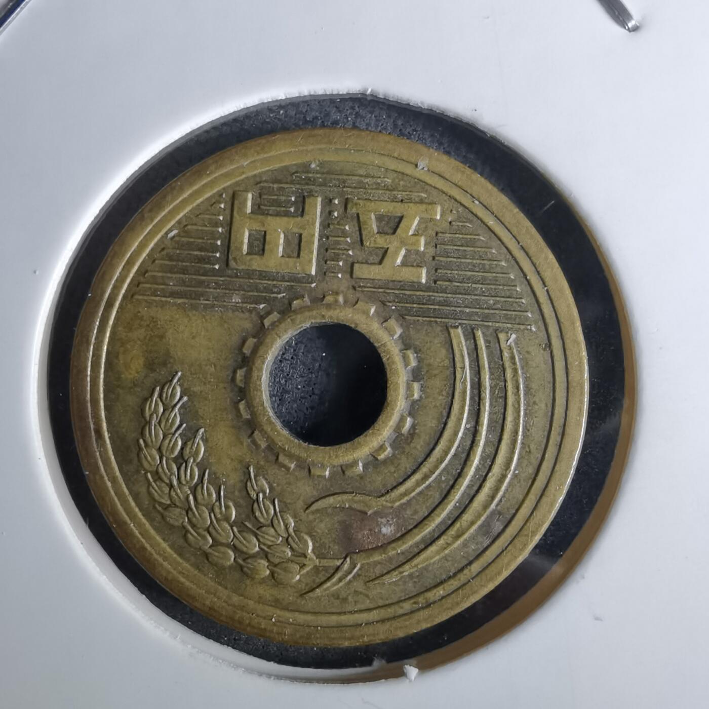 沼泽如烟--第984场 平成六年五元