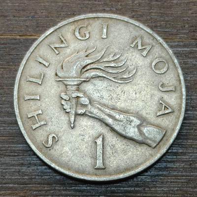 【本场4.12号发货】★第145★散币专场 不寄存，30包邮。不满30元，支付5元运费。《接受代拍 代送NGC评级》 - 40【无寄存】坦桑尼亚 1977年 火炬 1先令铜镍币