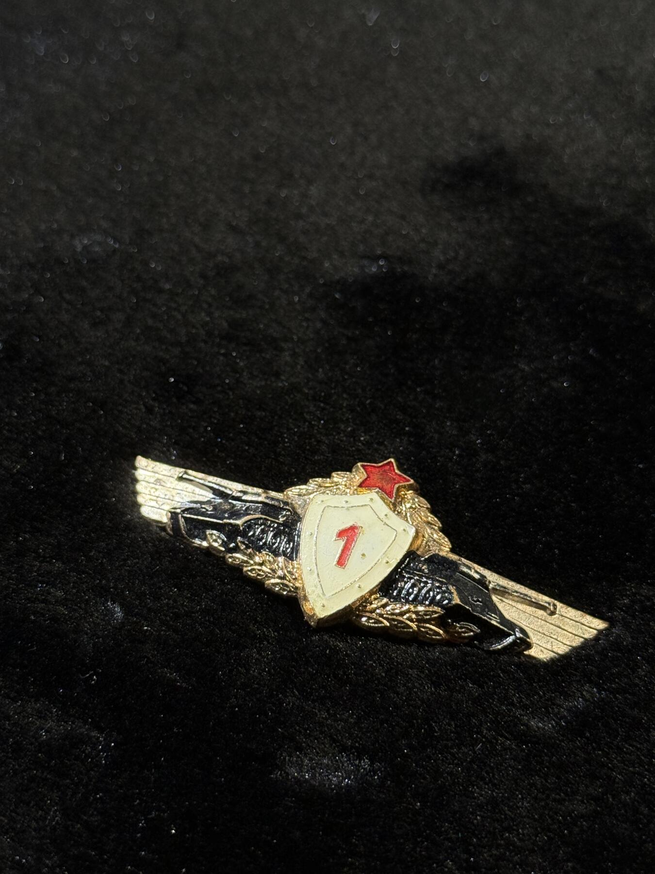 欢庆春节！戎马世界章牌大赏第111期春节大拍 匈牙利坦克兵一级技能证章，铜制