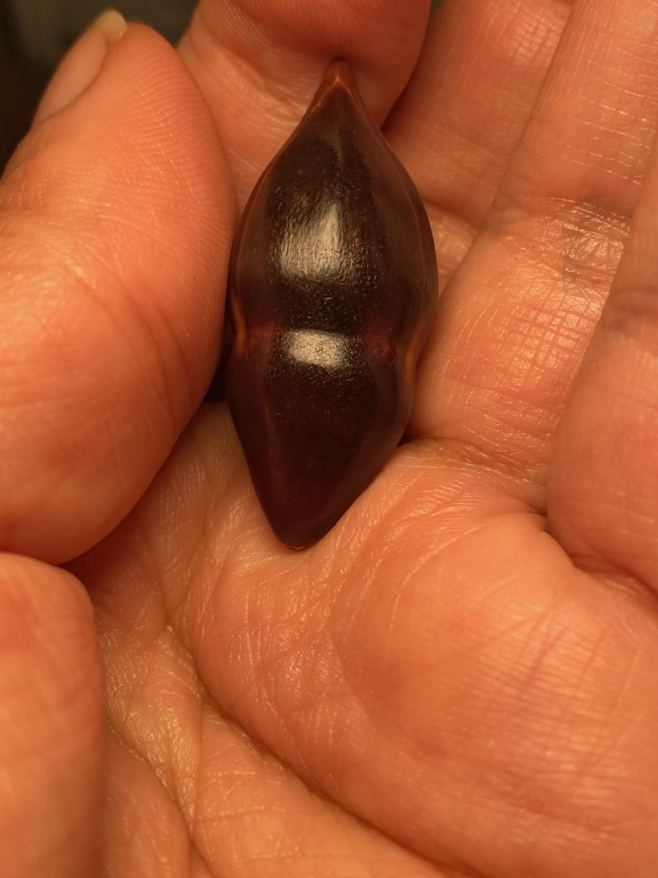 核舟记发源地苏州舟山核雕年末放漏