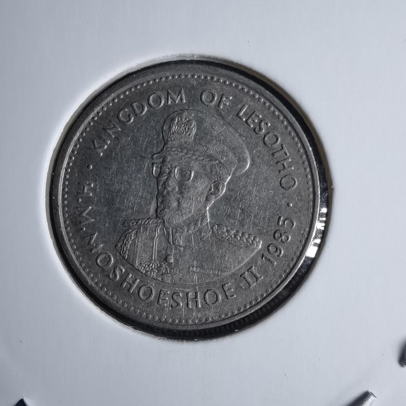 沼泽如烟--第985场 莱索托1985年25分