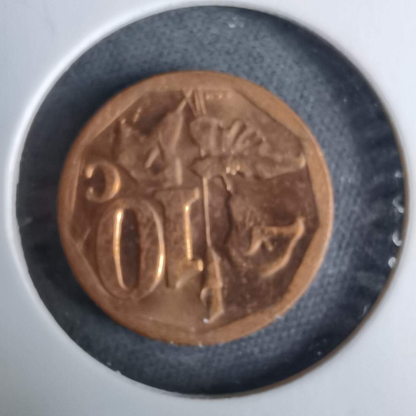 沼泽如烟--第985场 南非2012年十分