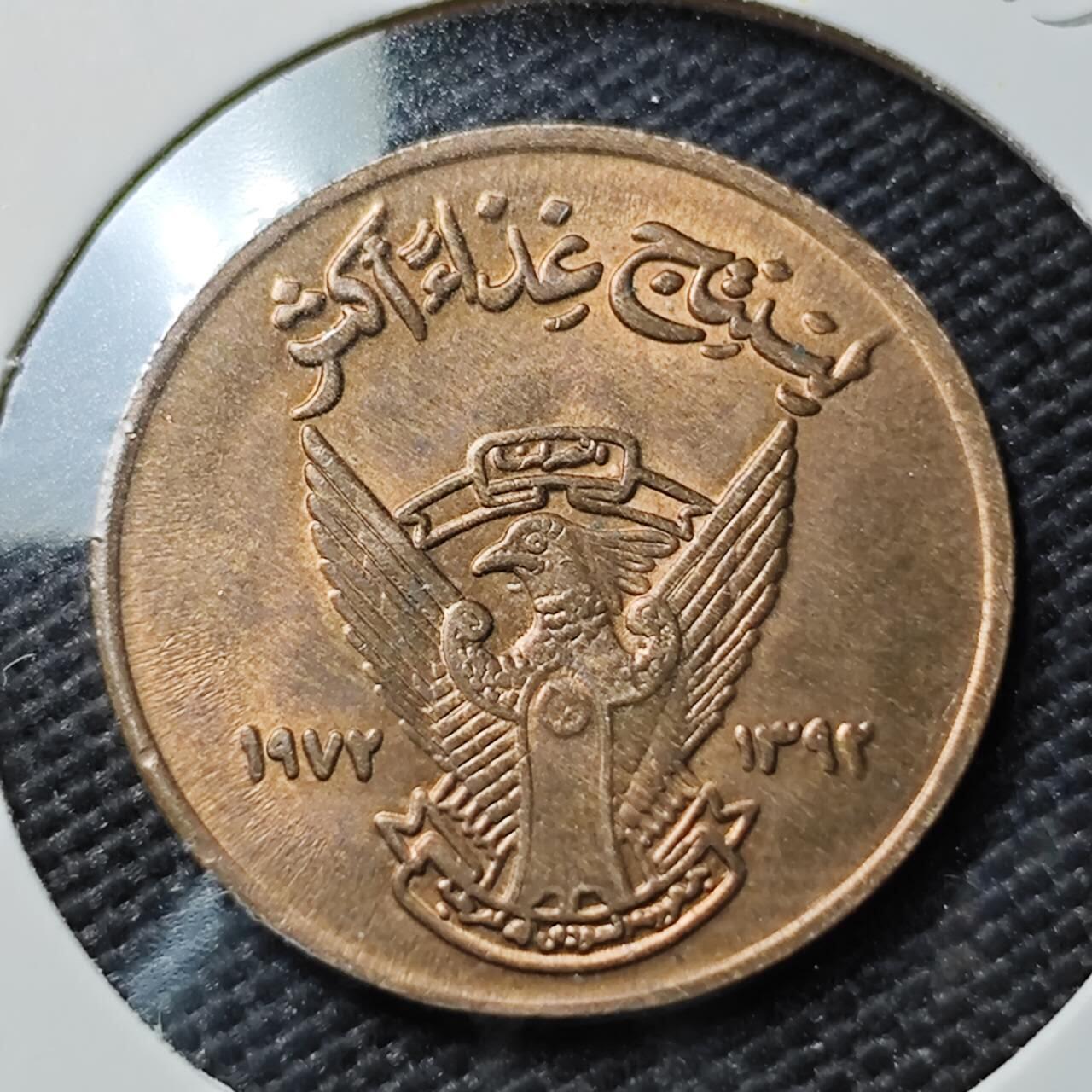 KK钱币收藏小铺  第393期  2月预留时间 周末发货  苏丹5米利姆铜币 好品