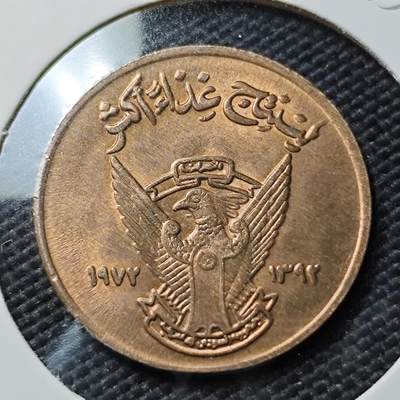 KK钱币收藏小铺  第393期  2月预留时间 周末发货 -  苏丹5米利姆铜币 好品