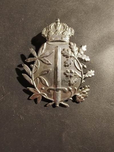 老王徽章第180期 - 比利时皇家警察亚德里安头盔帽徽    大尺寸