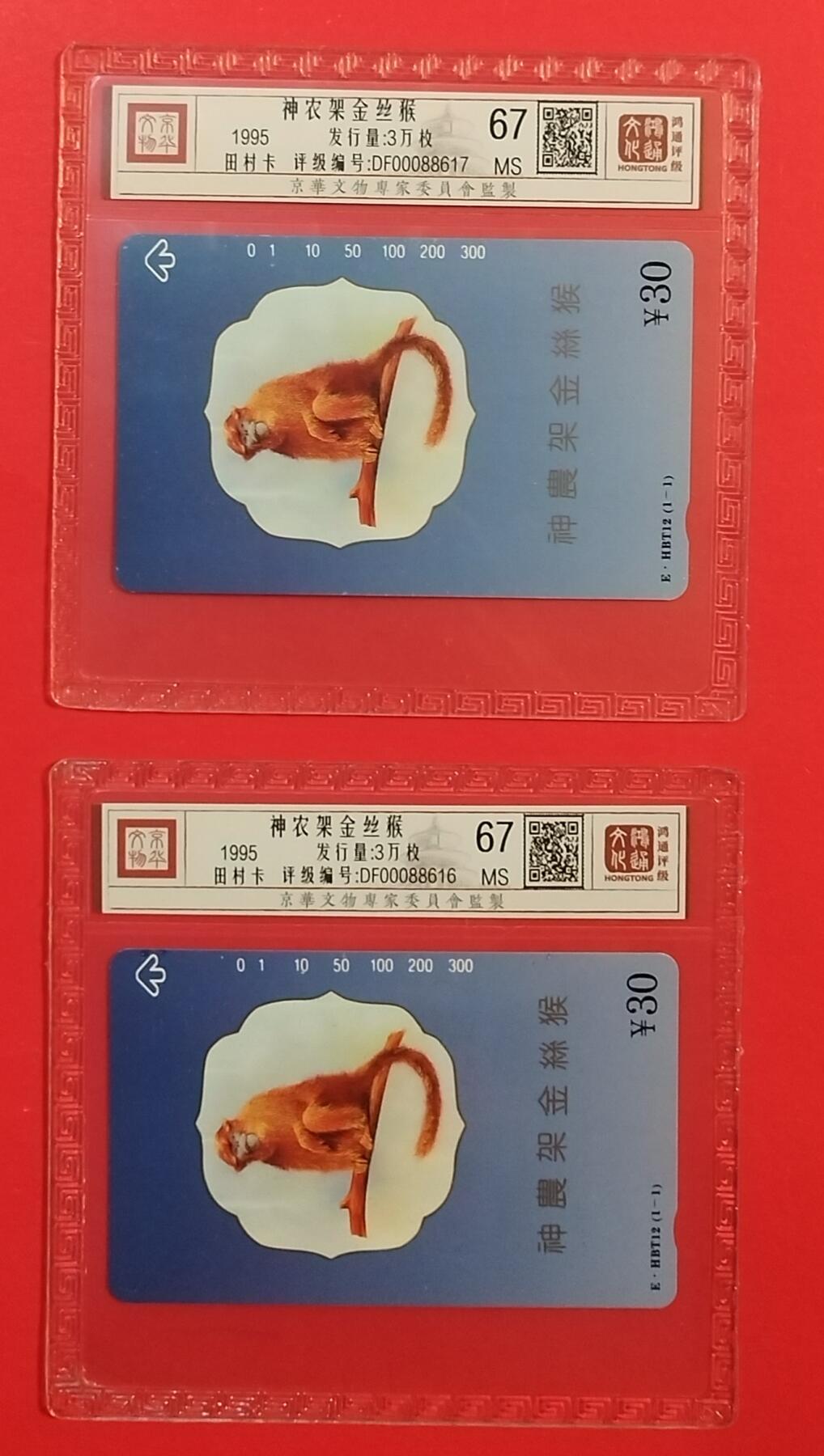 《鸿通俱乐部》拍卖第74期 2026年2月4日21：00延时节拍 湖北田村新卡《金丝猴》1全2枚 鸿通  67分*2