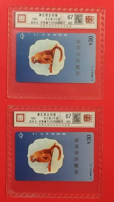 《鸿通俱乐部》拍卖第74期 2026年2月4日21：00延时节拍 - 湖北田村新卡《金丝猴》1全2枚 鸿通  67分*2