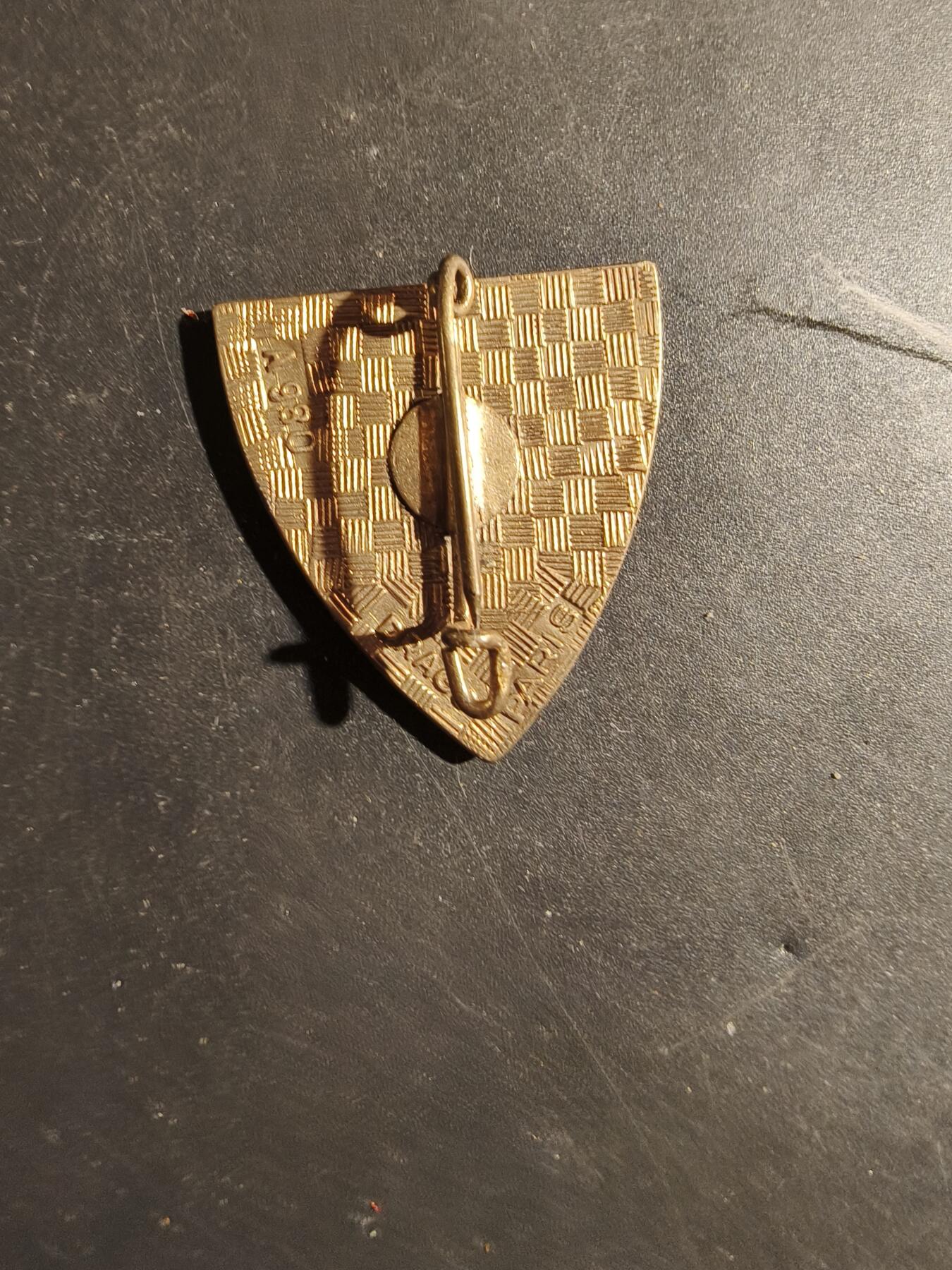 老王徽章第180期 法国空军飞行人员初始训练中队证章