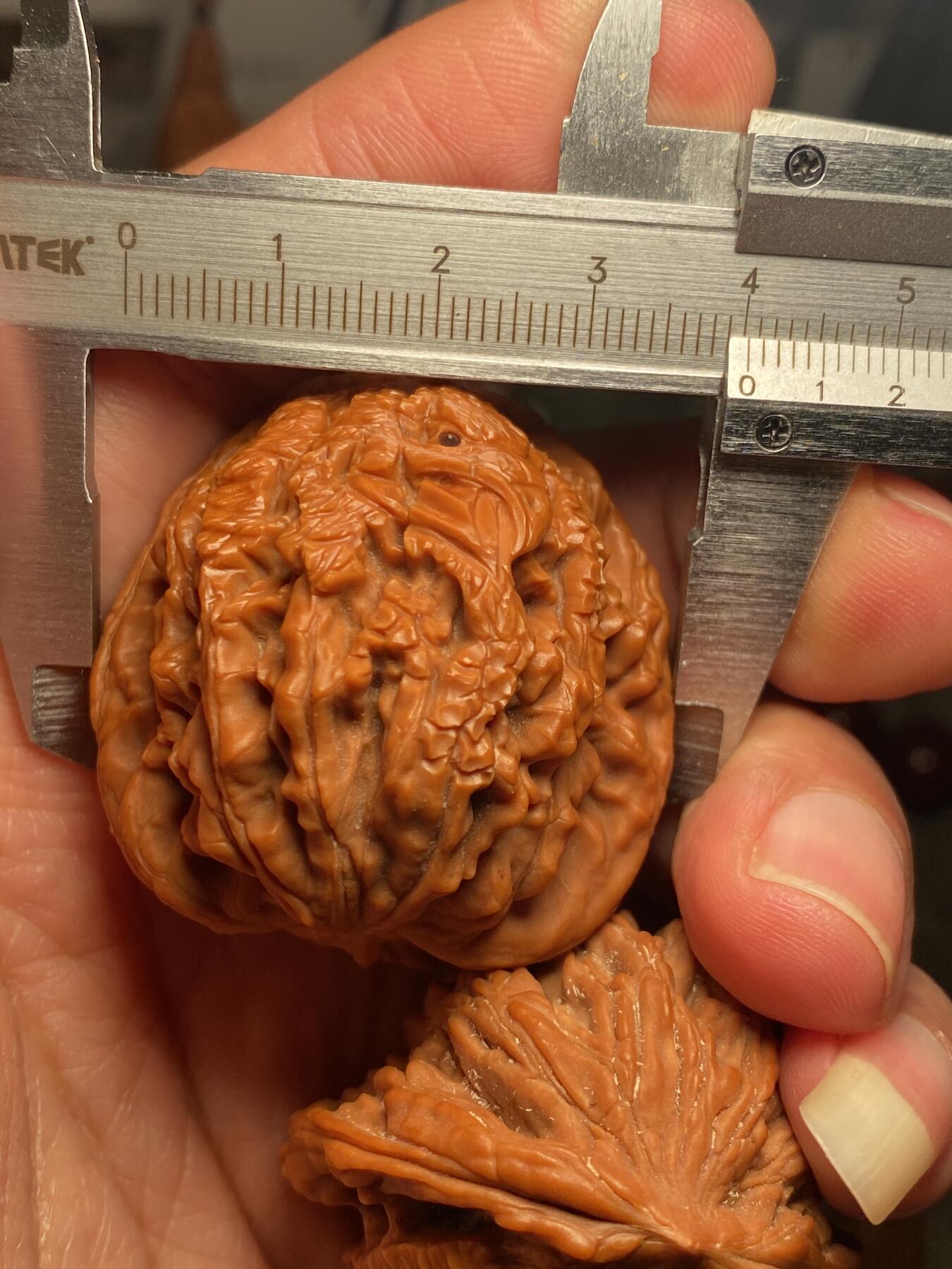 核舟记发源地苏州舟山核雕年末放漏