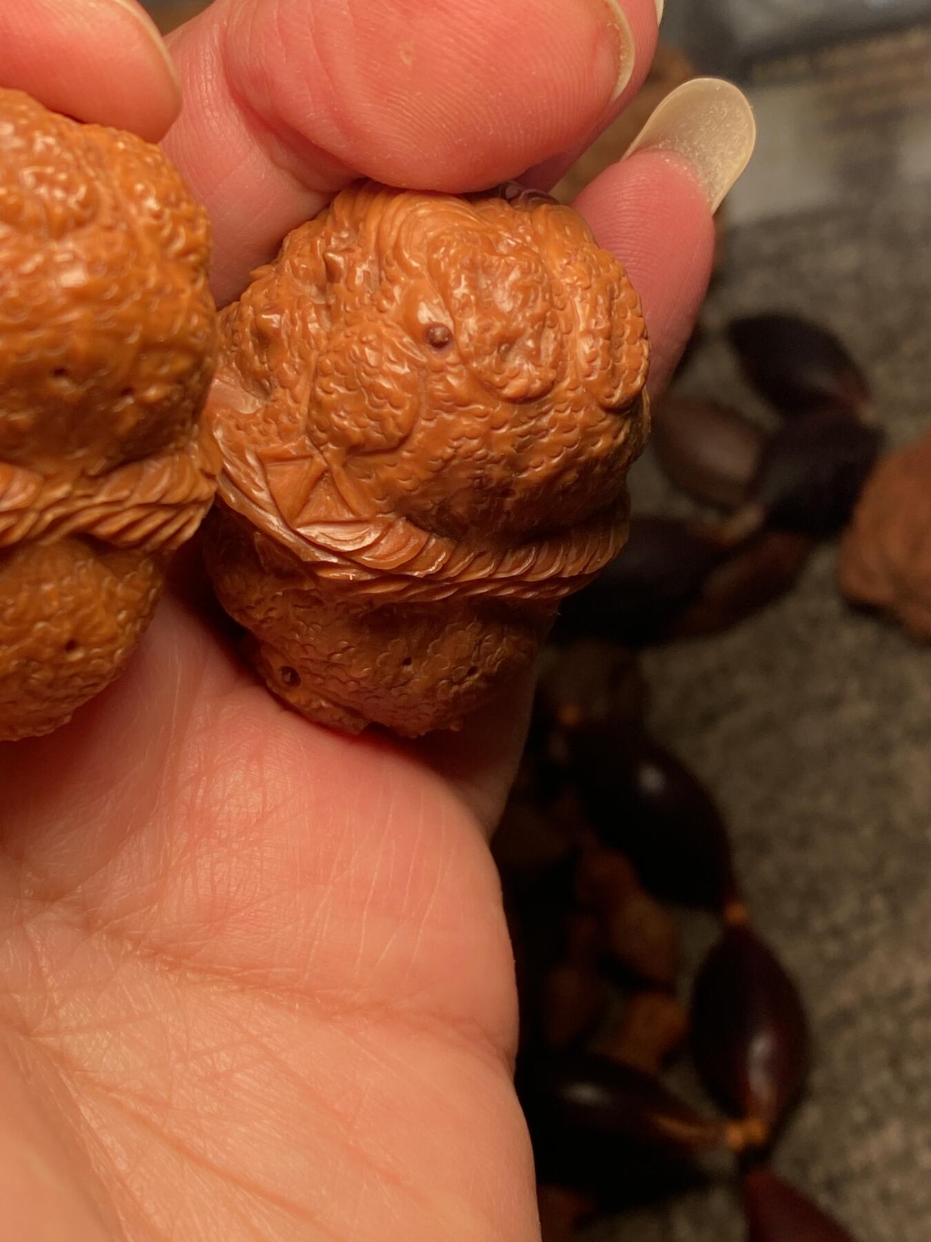 核舟记发源地苏州舟山核雕年末放漏