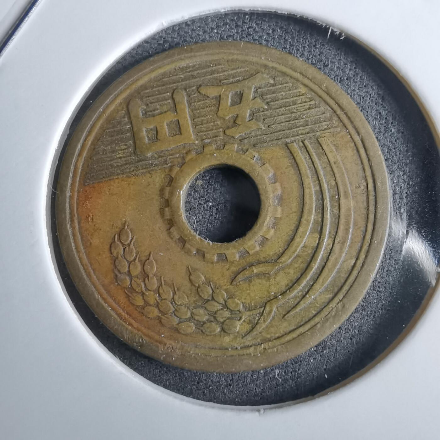 沼泽如烟--第985场 昭和28年繁体國五元