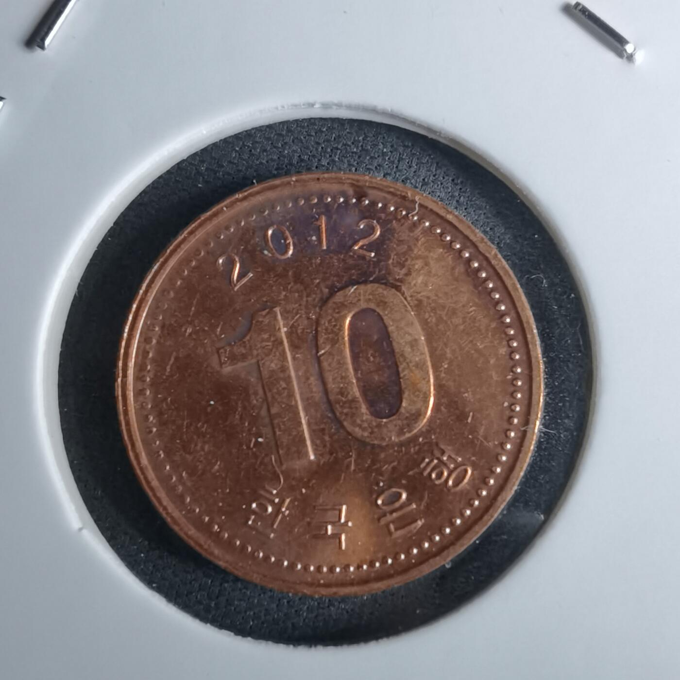 沼泽如烟--第985场