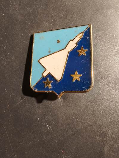 老王徽章第180期 - 法国空军132科尔马空军基地证章