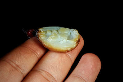 上海都达杂项专场四十七【全场包邮】  天然和田玉精雕《玉兔送福》挂件90-93