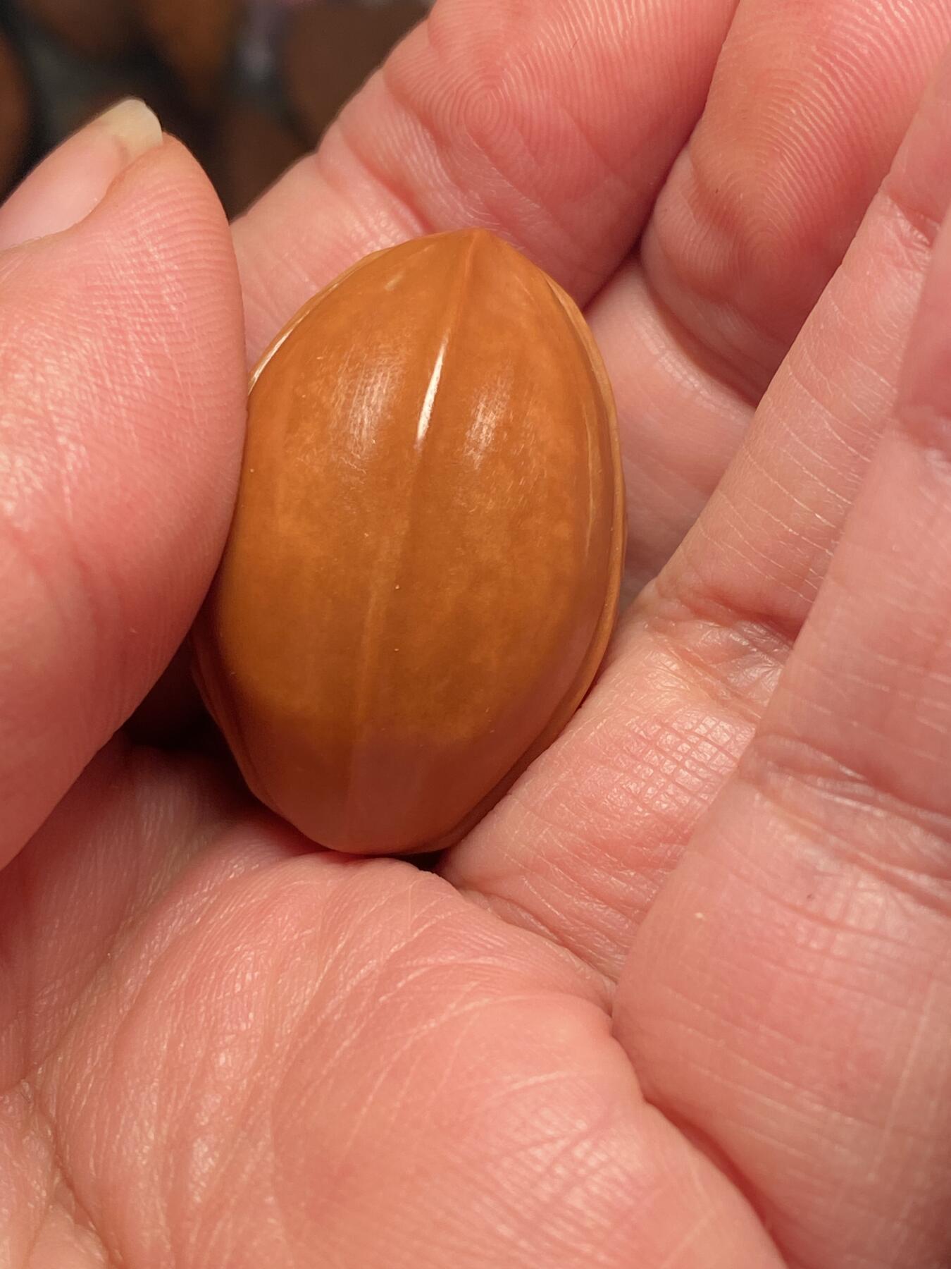 核舟记发源地苏州舟山核雕年末放漏 福利苏工核雕，纯手工雕刻,大富甲，个性十足，等待有缘人，市场无同款，尺寸2。35x3.4喜欢的来