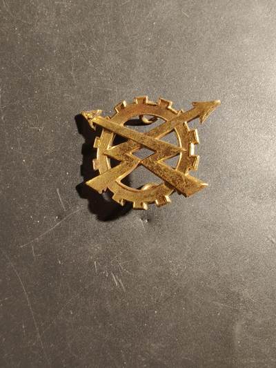 老王徽章第180期 - 比利时皇家通信工兵贝雷帽徽