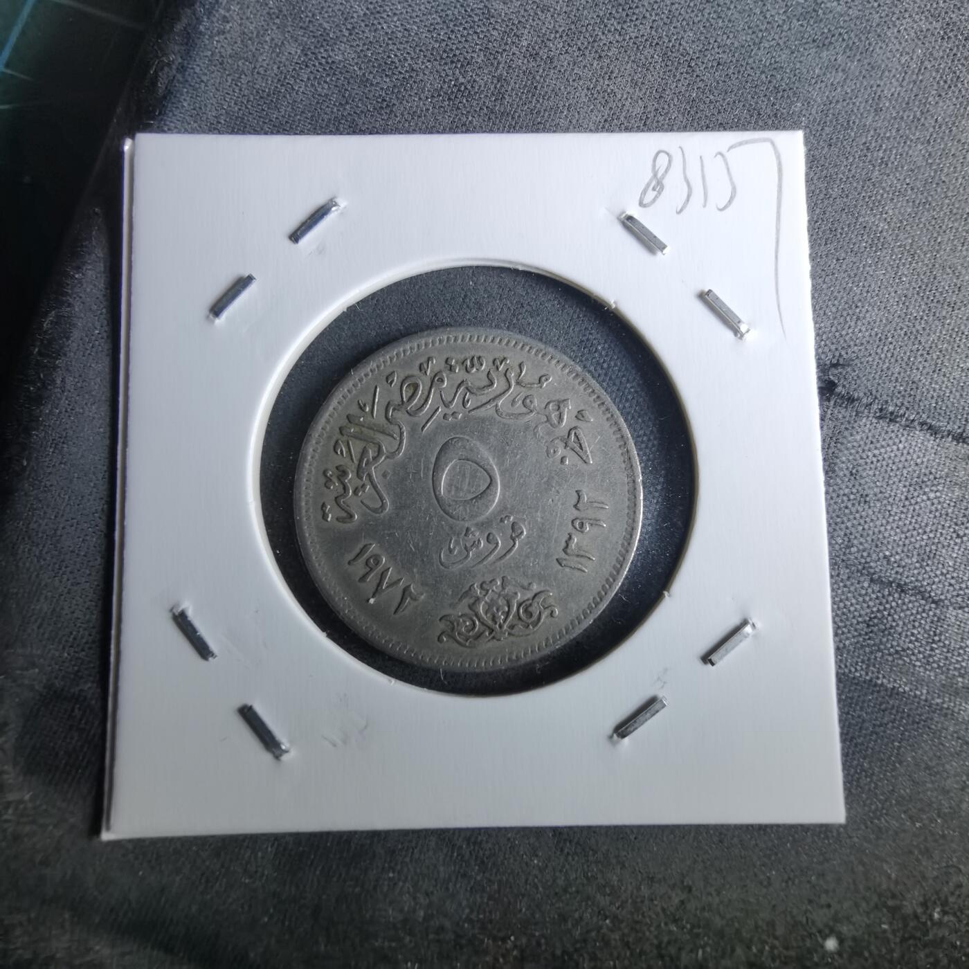 沼泽如烟--第983场