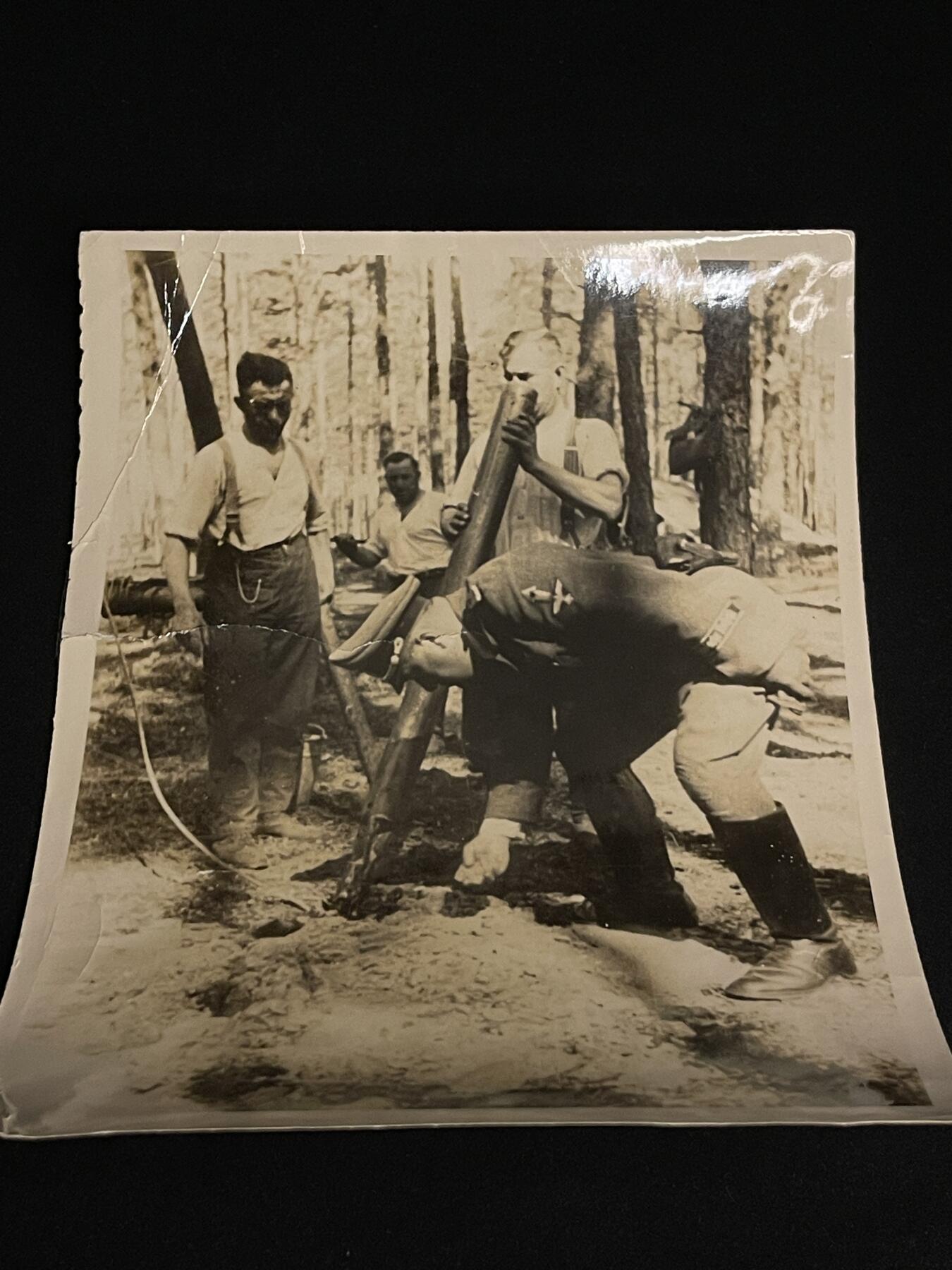 杂勋专场 二战党卫军军官照片