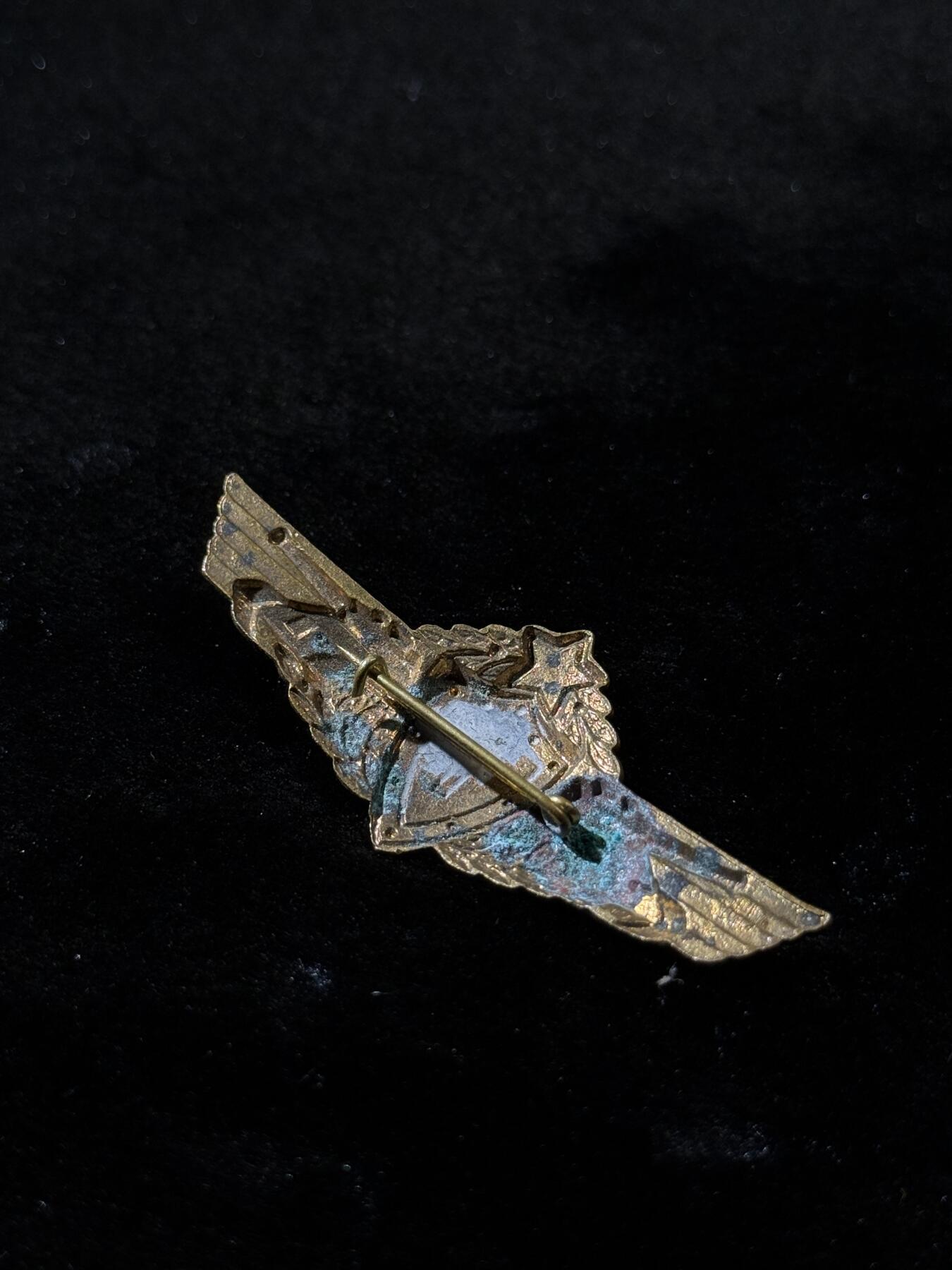 欢庆春节！戎马世界章牌大赏第111期春节大拍 匈牙利坦克兵一级技能证章，铜制