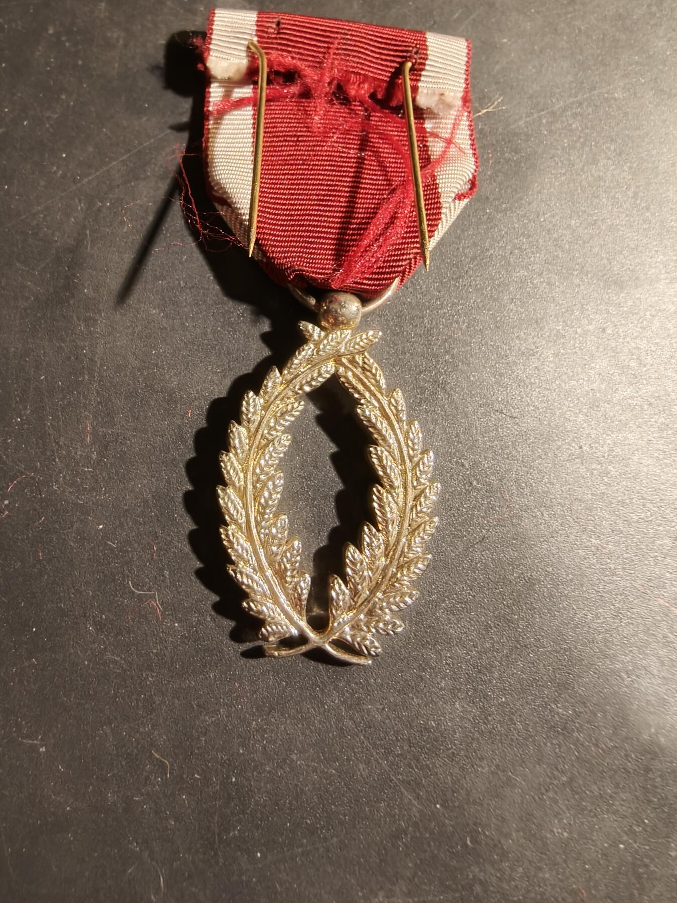 老王徽章第180期 比利时金级棕榈叶奖章