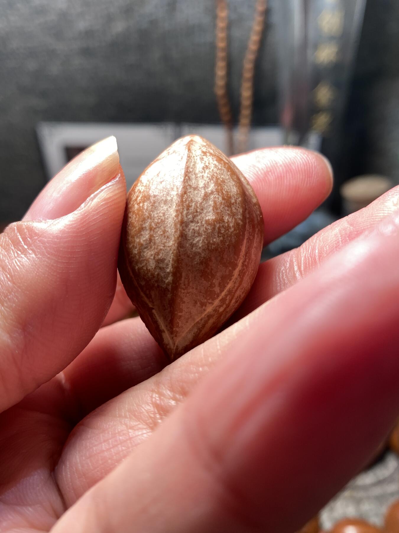 核舟记发源地苏州舟山核雕年末放漏 福利苏工核雕，纯手工雕刻,天篷元帅，个性十足，等待有缘人，市场无同款，尺寸2。3x4.0喜欢的来