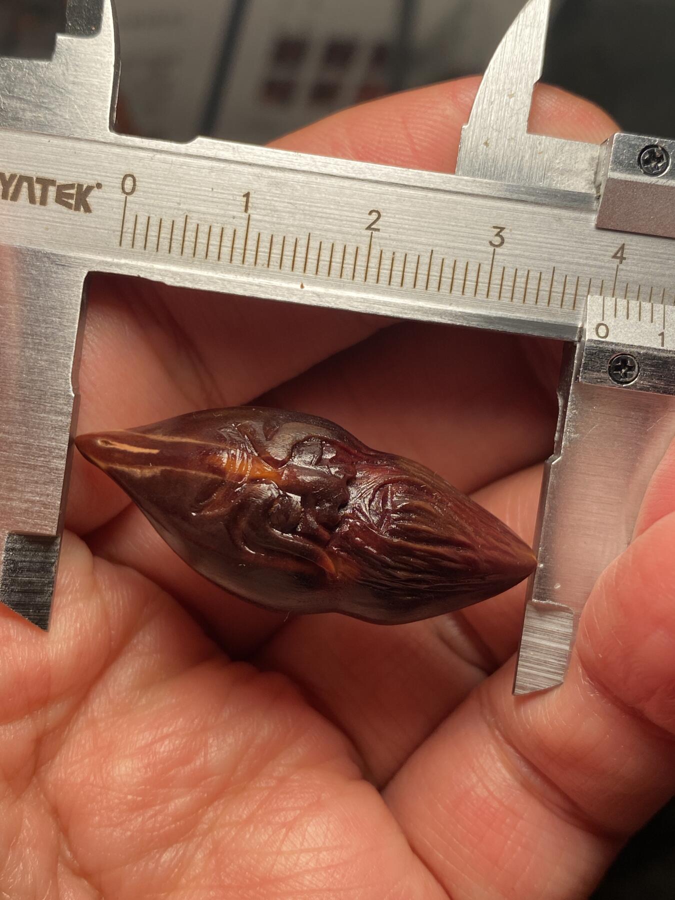 核舟记发源地苏州舟山核雕年末放漏