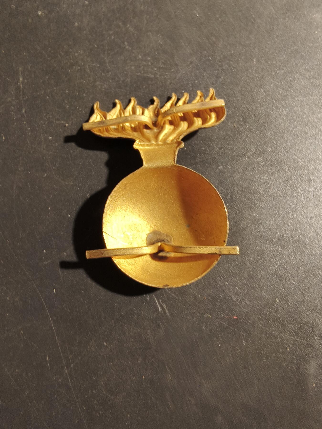 老王徽章第180期 比利时皇家宪兵贝雷帽徽