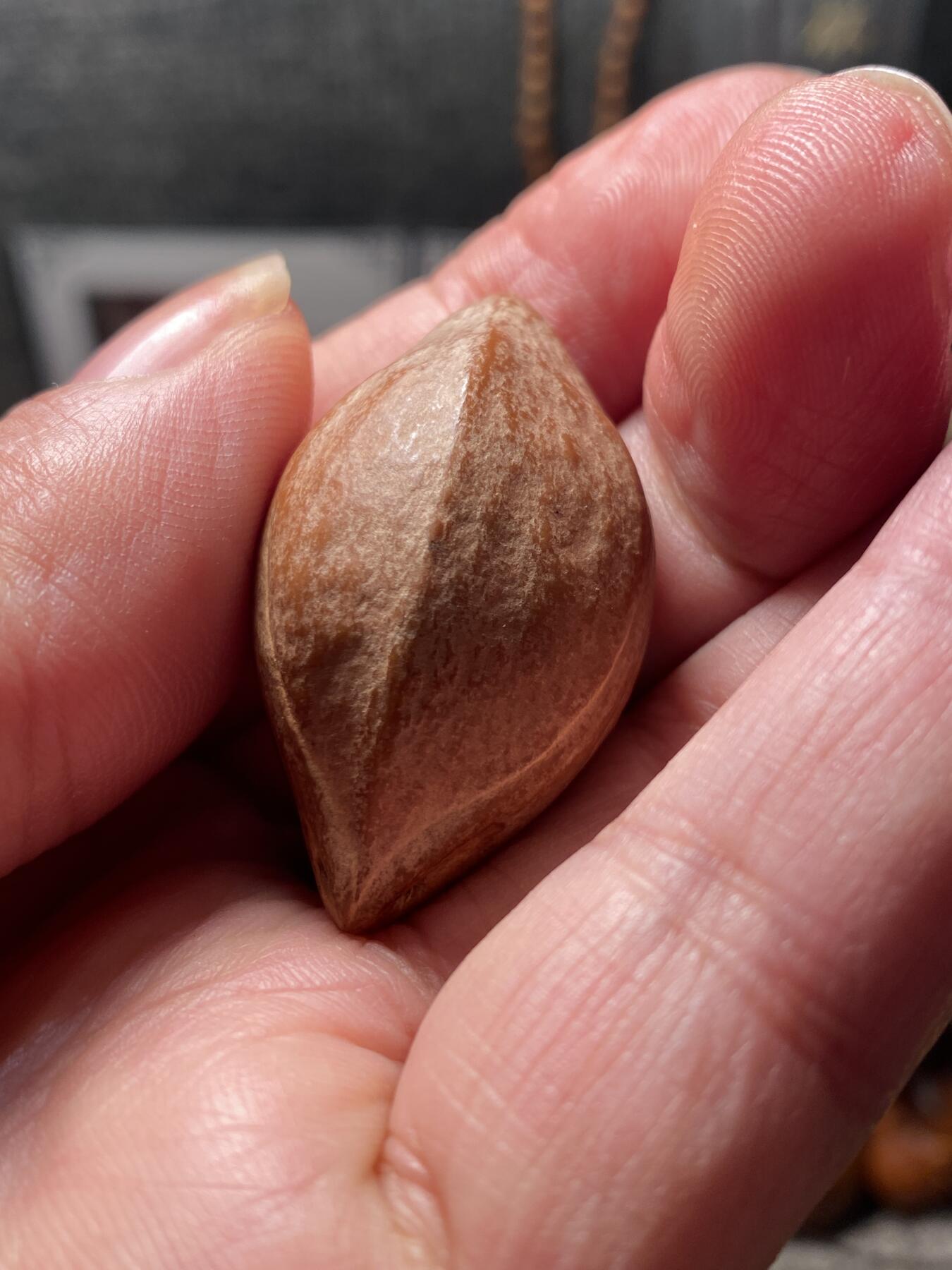 核舟记发源地苏州舟山核雕年末放漏 福利苏工核雕，纯手工雕刻齐天大圣，个性十足，等待有缘人，市场无同款，尺寸2。35x4.1喜欢的来