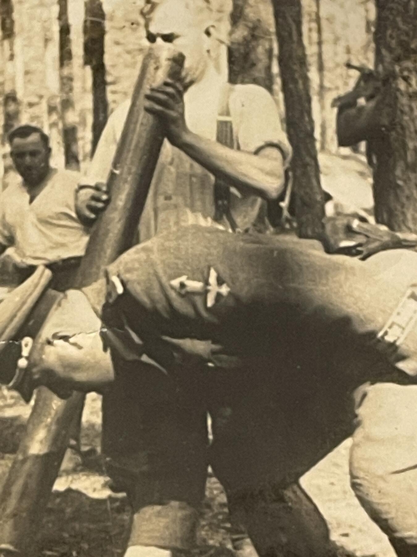 杂勋专场 二战党卫军军官照片